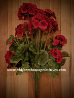 #RH122 Red Geranium Bush ~ TOP SELLER!