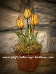#PGTY Primitive Potted Wax Dipped Tulips “YELLOW” #1 Seller