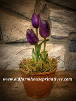 #PGTP1 Primitive Potted Wax Dipped Tulips “PURPLE” #1 Seller tulip 🌷 Back In Stock