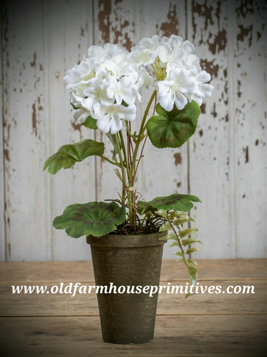 #RHN56 White13” Potted Geranium – Old Farmhouse Primitives