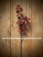 #RHN65 Red Flowering Stem
