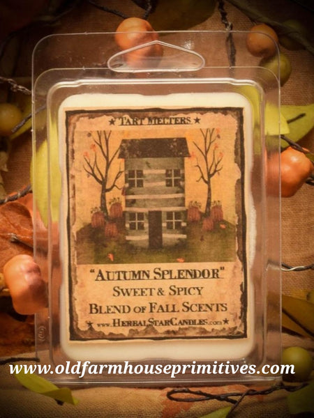 #HSAS16 Primitive Soy Candle "Autumn Splendor" 6 Pack of Tarts (Made In USA)