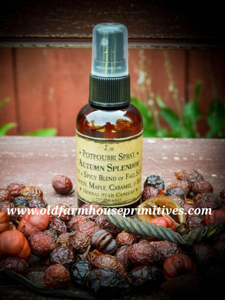 #HSAS19 Primitive Fragrance Oil "Autumn Splendor" Potpourri Refresher Spray (Made In USA)