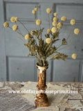 #LV6629 Fall Garden Bliss "Wind Dancer" Cream Bush