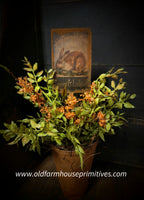 #PSHPT Primitive "Spotted Hare" 🐰 Potted Arrangement