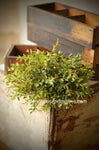 #LV9830GN Lemon Beauty Half Sphere 8 inch