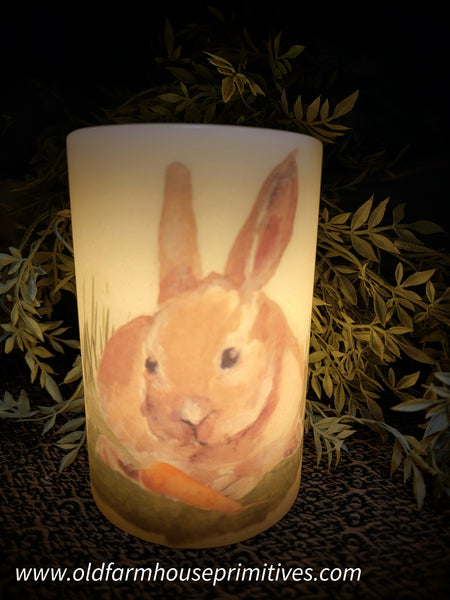 #CRD0024 Peter Rabbit With Carrot🥕 Candle Sleeve