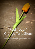 #OTS Realistic Spring Orange Tulips 🌷