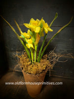 #PTDFY Primitive Potted "Yellow Daffodil"🌼 Flower Pot