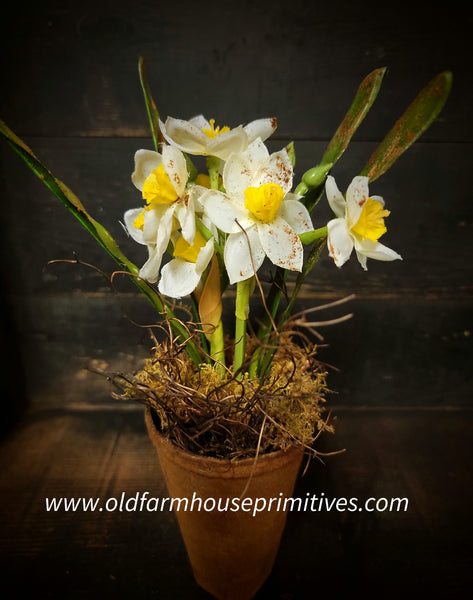 daffodil plant pot PTDFW Primitive Potted "White Daffodil"🌼 Flower Pot – Old Farmhouse Primitives