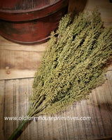 #FGG140 Sage Brush Bush