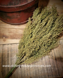 #FGG140 Sage Brush Bush