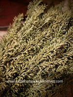 #FGG140 Sage Brush Bush