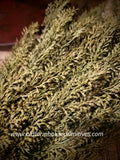 #FGG140 Sage Brush Bush