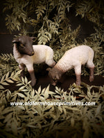 #PR432 Small Pair of "Grazing Lambs"
