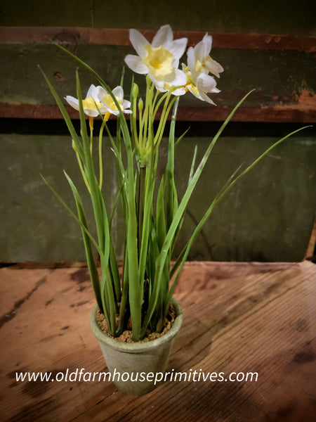 #SVDAFF-W  Realistic "White Mini Potted Daffodil"
