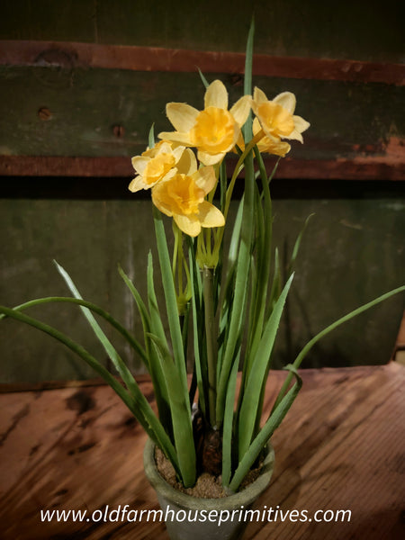 #SVDAFY Realistic "Yellow Mini Potted Daffodil"