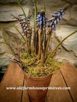#PBBHPF Primitive "Bluebell" Potted Floral Arrangement #1 Seller