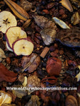 #PSCP6 Primitive Chunky Gatherings "Baked Apple Pie" Scented Potpourri