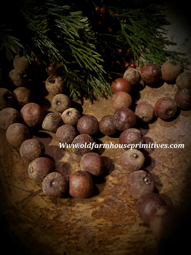 BJBC17 Primitive Pantry Apple Garland 4' 🍎 Old Farmhouse Primitives