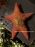 #PACH16 Primitive Painted Small "Cranberry Star" With Sweet Annie (Made In USA)