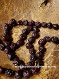 #BJBC69 Primitive Colonial Dried Dark & Plump Cranberry Garland 2'