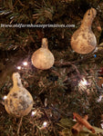 #PSGTOGS Primitive Grubby Spinner Gourd Tree Ornaments SET/3 (Made In USA)