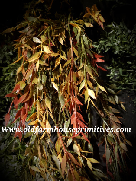 #LHHHVA Autumn Hanging Velvet Ash Bush ★