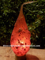 #VJNSB6 Primitive Small Base "Spicy Rosehips" Electric Bulb (Made In USA)