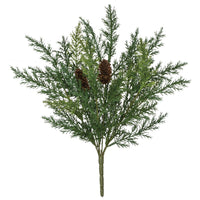 BH181 Arborvitae Bush