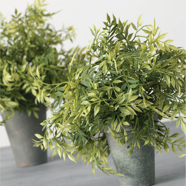 can you plant wisteria in a large pot 02456POTL Wisteria Pot – Old Farmhouse Primitives