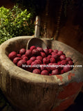 #BJBC5 Primitive Red Pantry Apples 1 lb. 🍎 #1 Seller