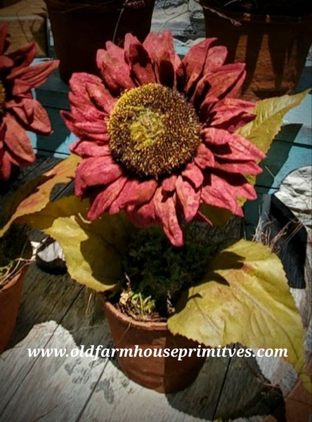 #PPBS Primitive Potted "Burgundy" Spiced Sunflower 🌻  Back In Stock
