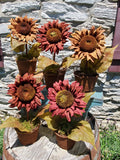 #PPBS Primitive Potted "Burgundy" Spiced Sunflower 🌻  Back In Stock