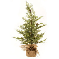 #LHHNRH Primitive North Rim Hemlock Tree 24"  🌲