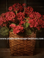 #RH122 Red Geranium Bush ~ TOP SELLER!