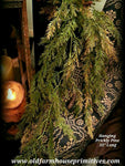 #LHHPP2 Prickly Pine 33" Hanging Bush #1 SELLER