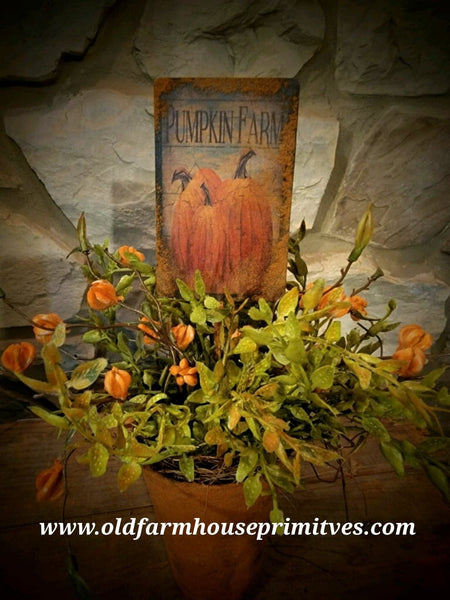 #PPFPF Primitive Fall "Pumpkin Farm" Potted Floral Arrangement 🎃  Back In Stock